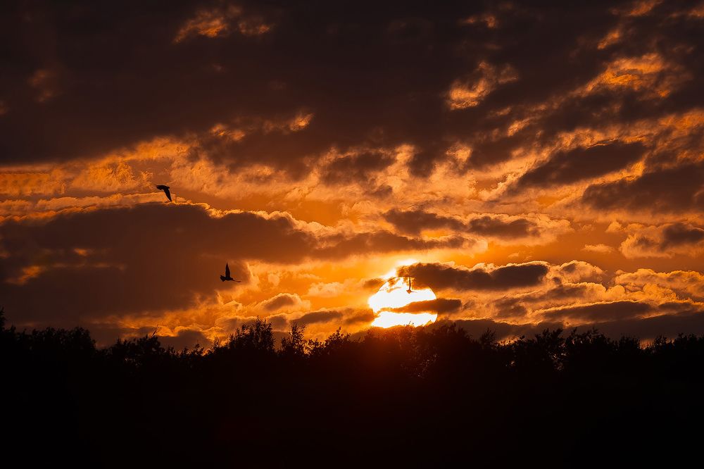 Photograph by Ольга Мазлова