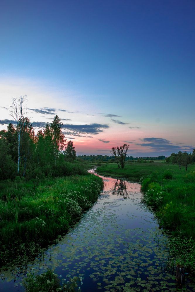 Photograph by Ирина Шилова