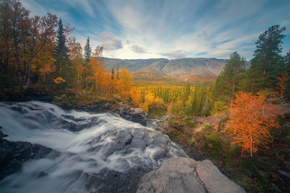 Photograph by Елена Ермолина