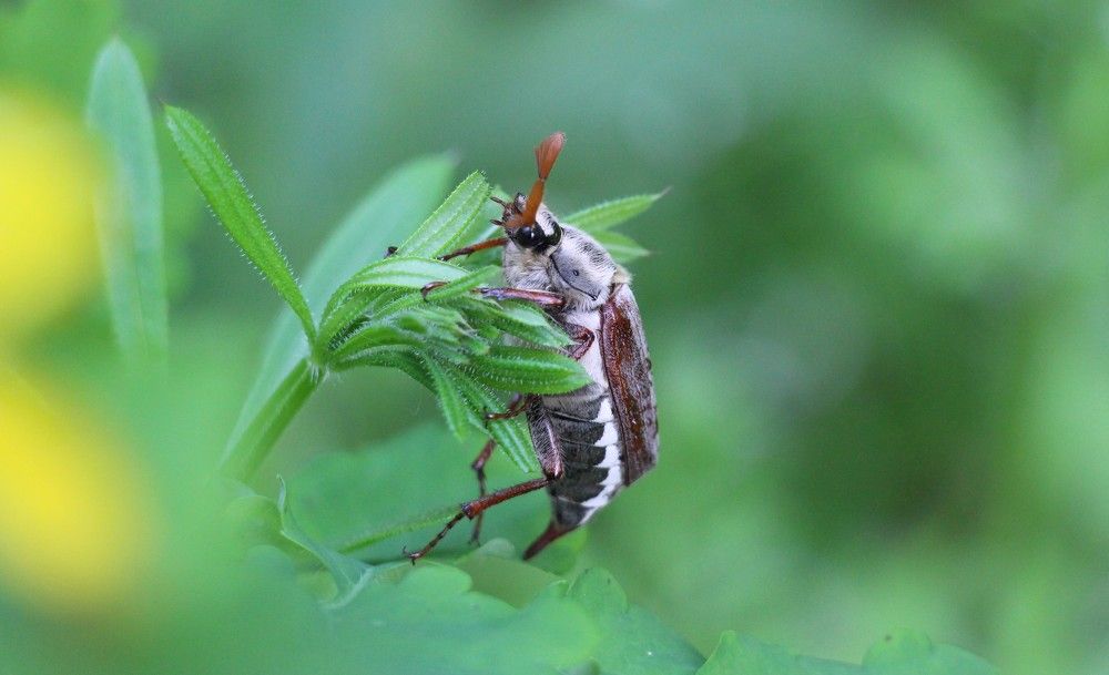 Photograph by Ольга Попченко