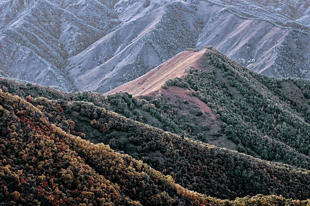 Photograph by Дамир Розыев