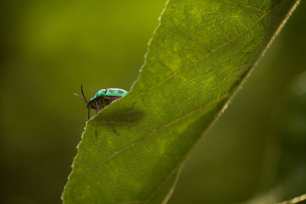 Photograph by Bihong Kollogov