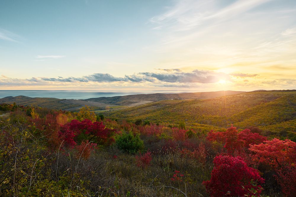 Photograph by Хисматулин Ренат