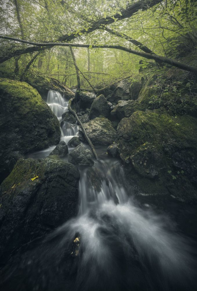 Photograph by Cesare Malatesta