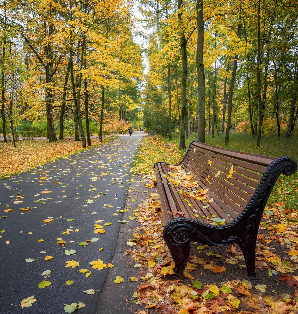 Photograph by Ольга Якшина