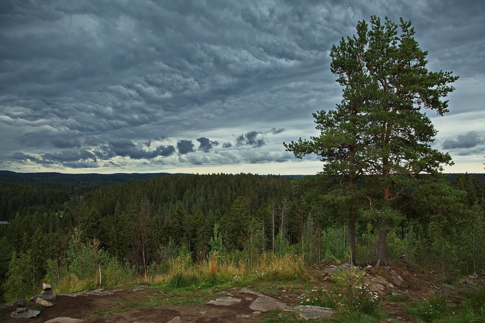 Photograph by Олег Раков