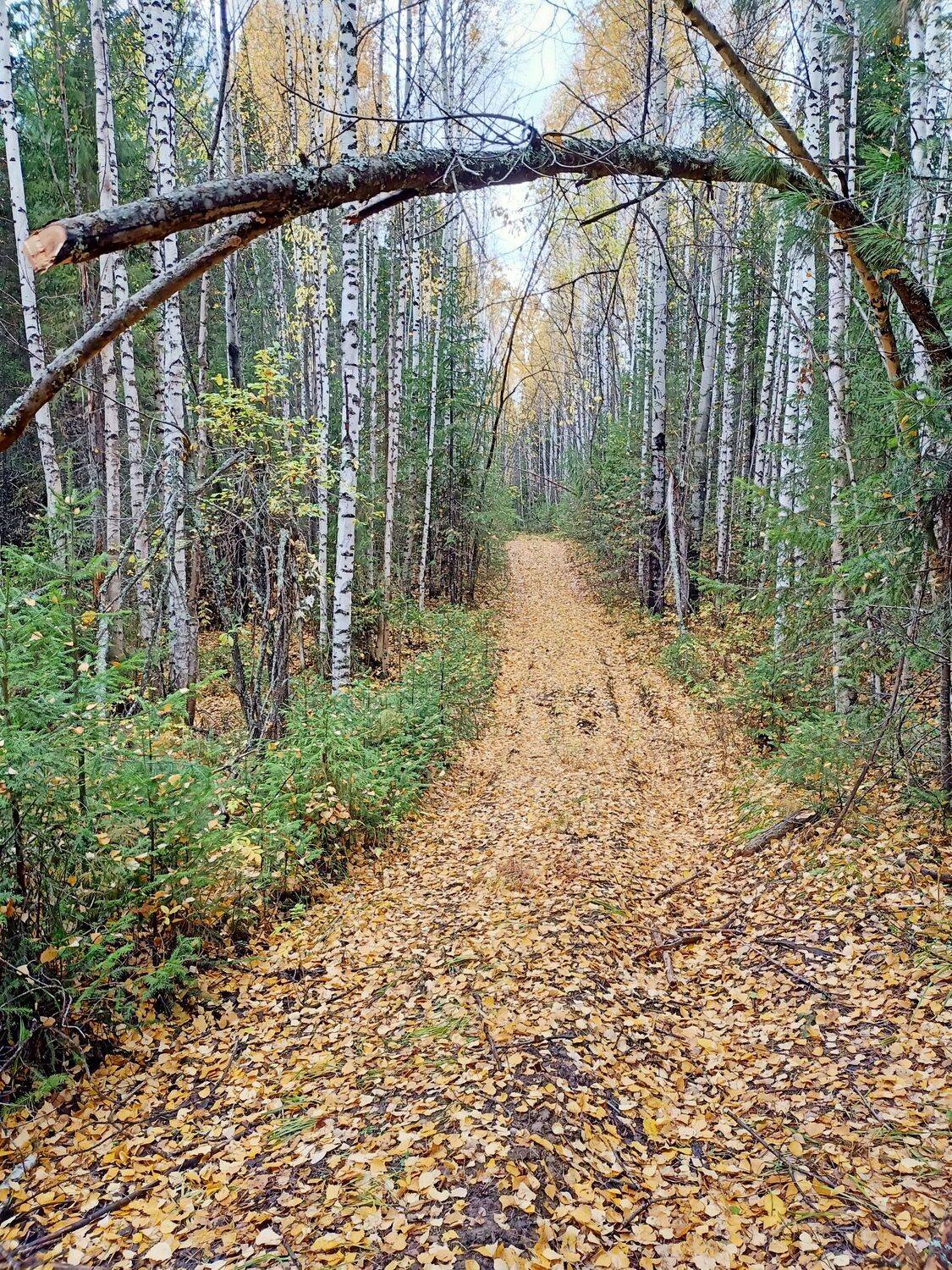 Photo #8237052