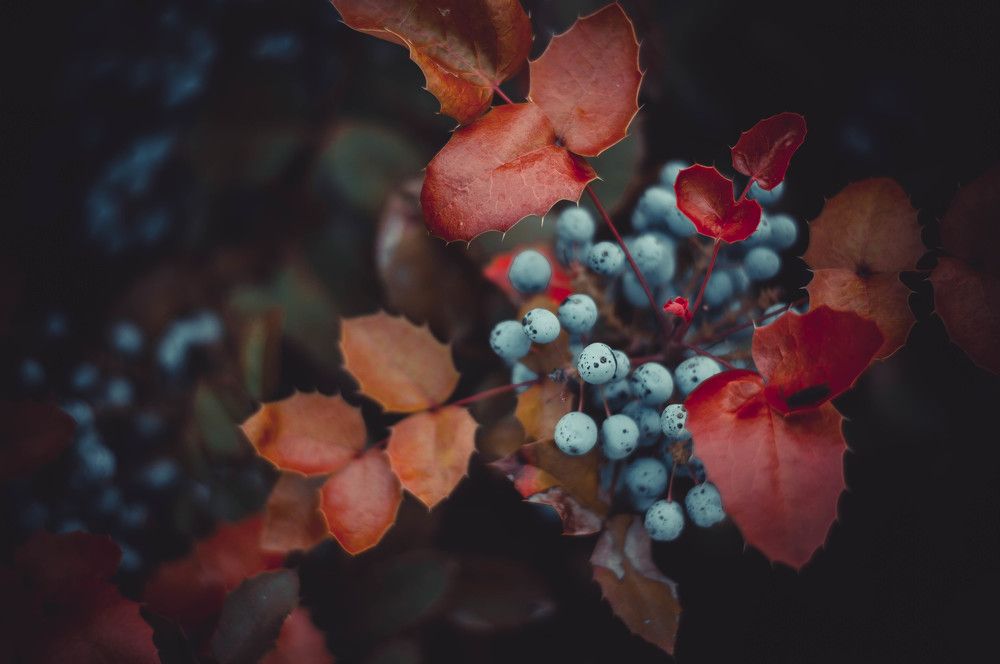 Photograph by Карпова Валентина