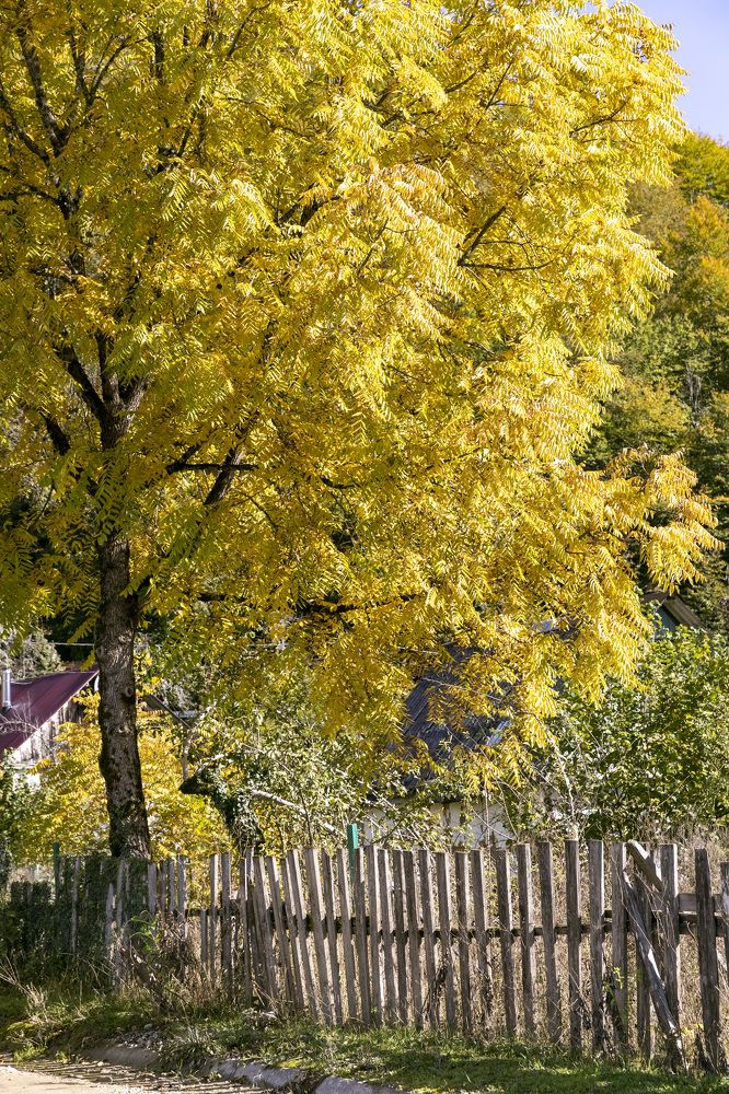 Photograph by Регина Хохлова