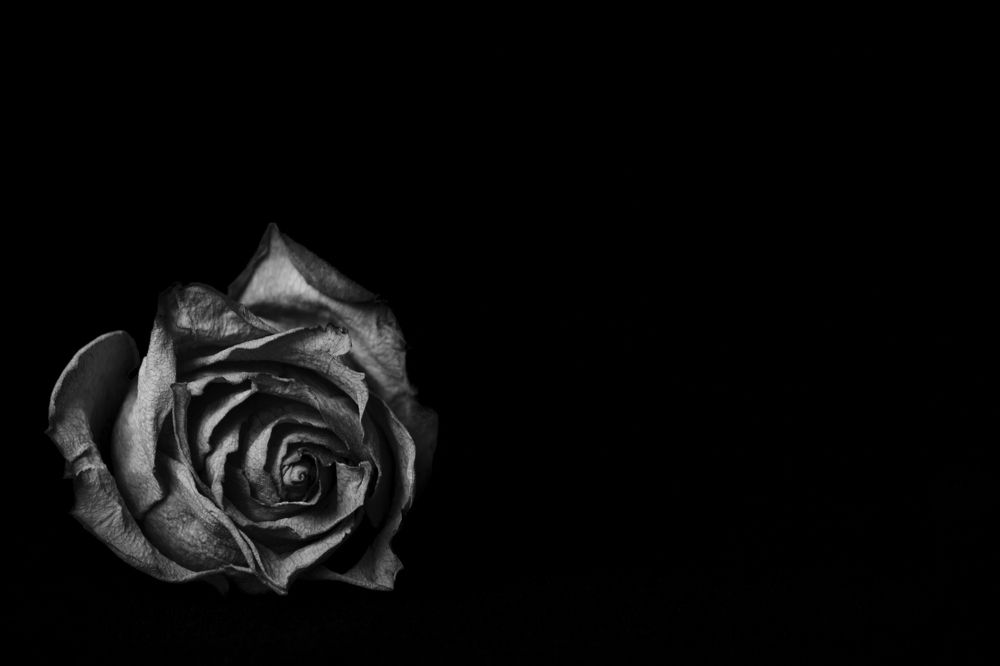 Photograph by Валерия Денисова