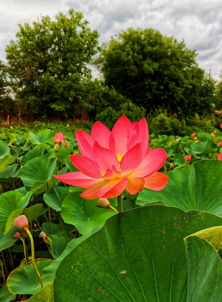 Photograph by Илья Крутихин