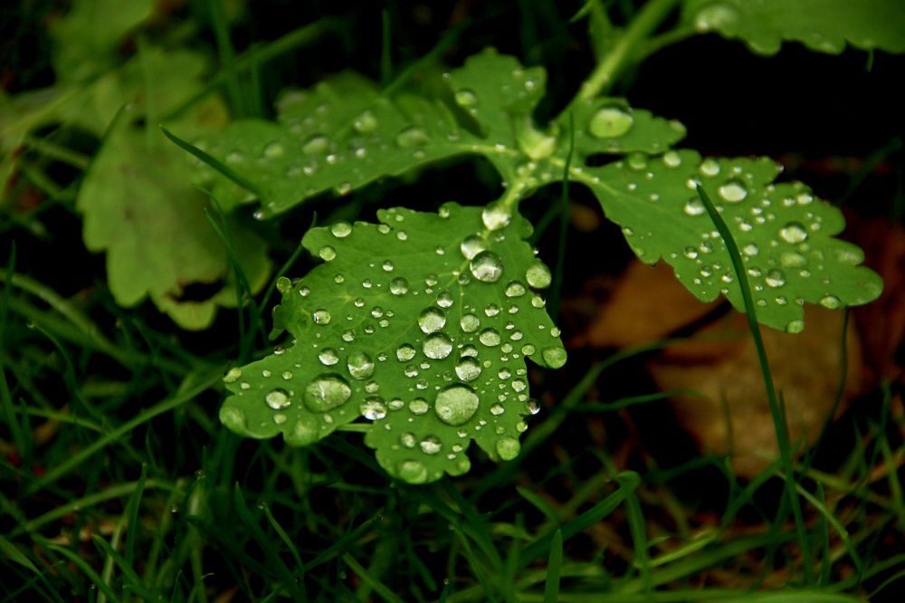 Photograph by Ирина