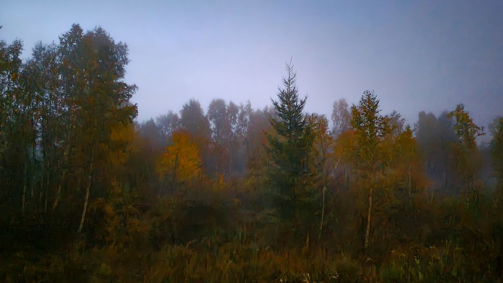 Осеннее туманное утро