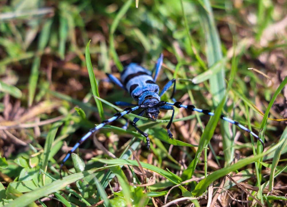Photograph by George Alexandru Ghiuro
