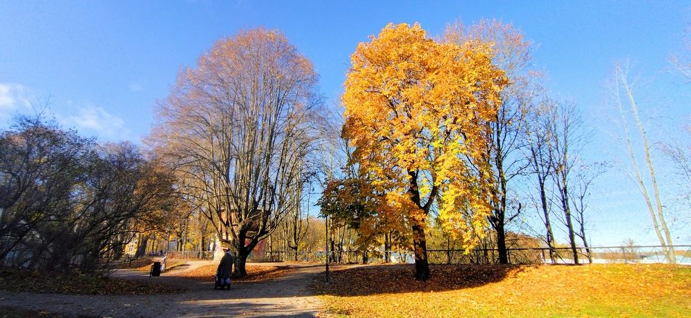 Дорожка романтика