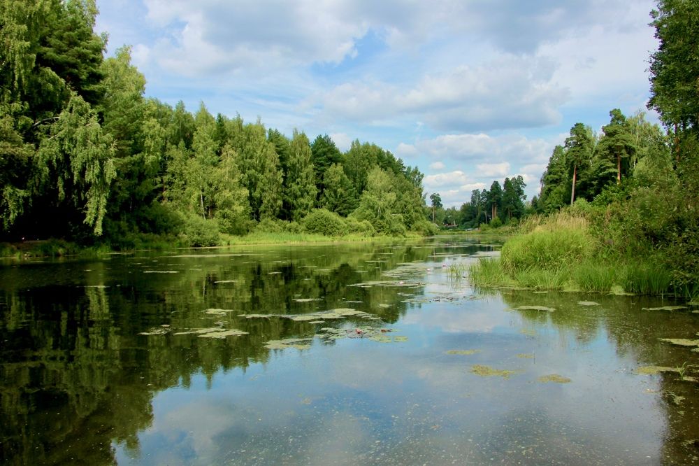 Photograph by Ирина