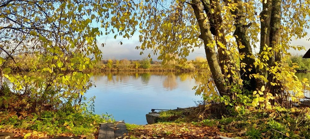 Photograph by Соколова Елена