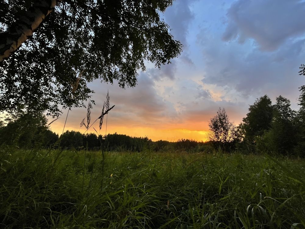 Photograph by Ирина