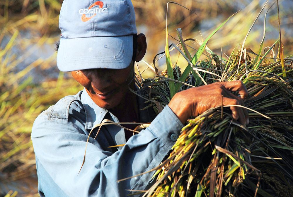 Photograph by Jedidiah Tan