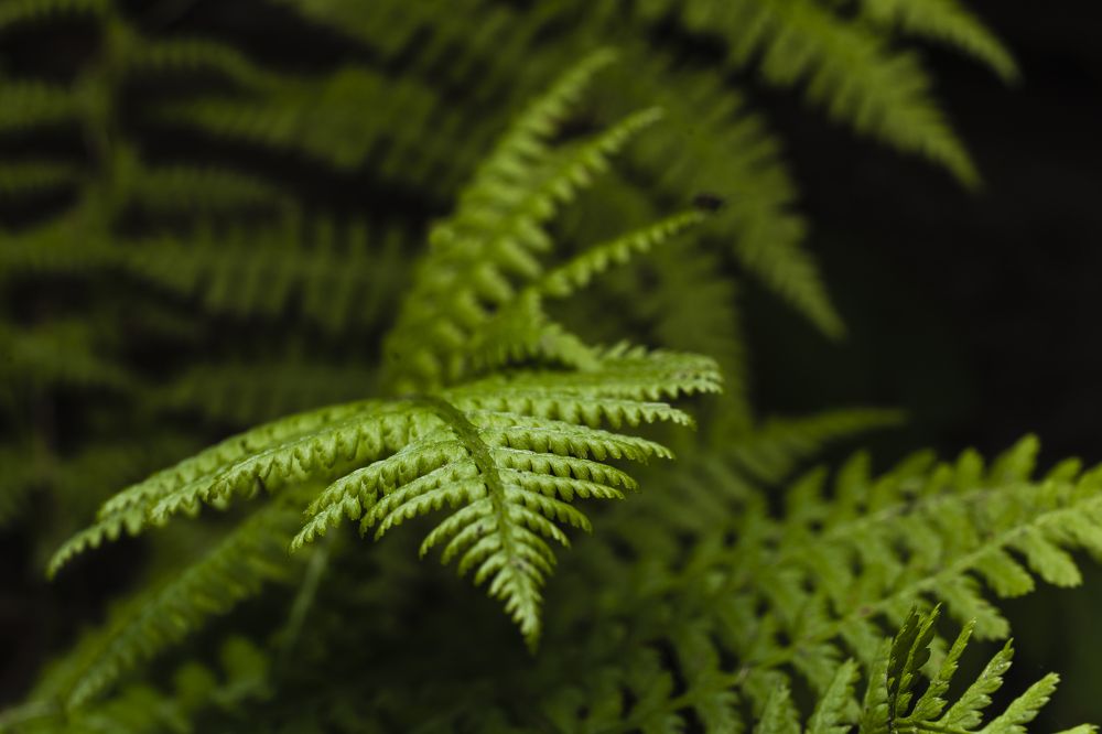 Photograph by Виктор Степанов