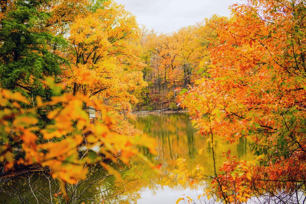 Photograph by AHMAD AL-HADDAD