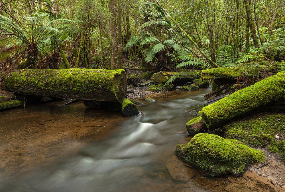 Фотография автора Анатолий Макоедов