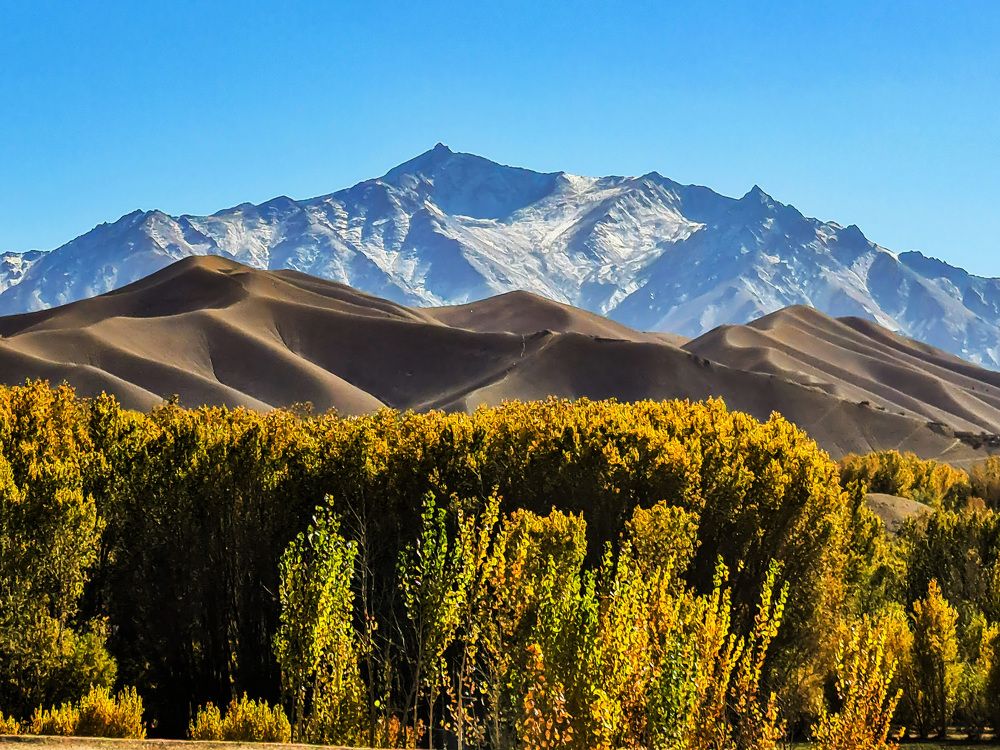 Фотография автора Gul Ahmad Adib