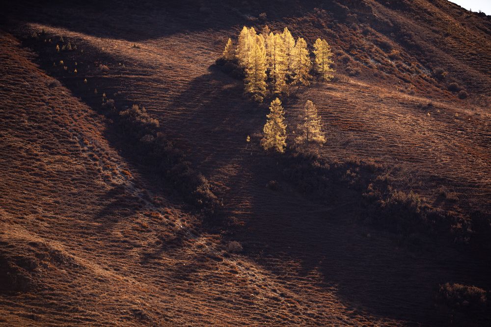 Осенний свет