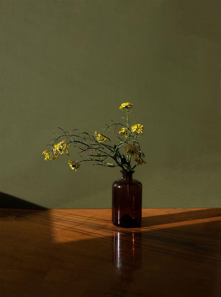 Photograph by Анна Статейко