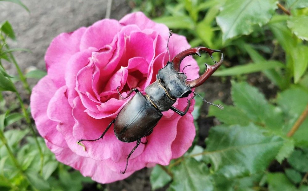 Photograph by Ольга Попченко
