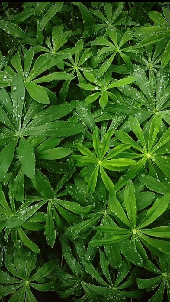 Photograph by Дмитрий Медянников