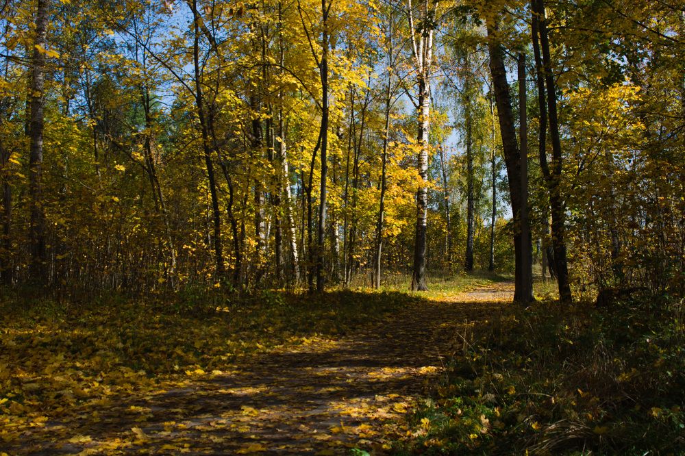 Photograph by Вячеслав Куксенков