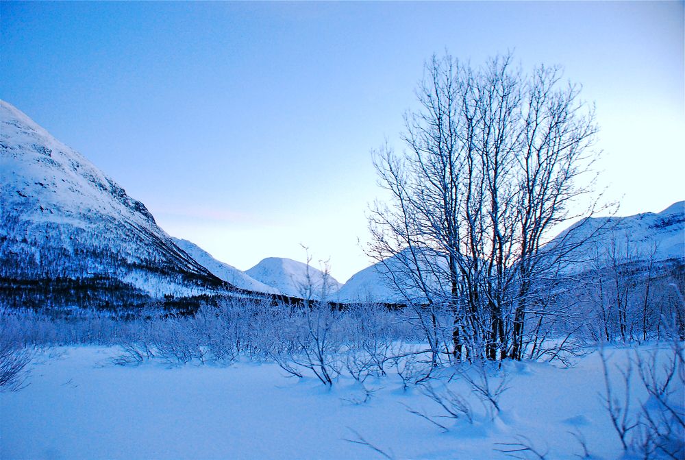 Tromso winter