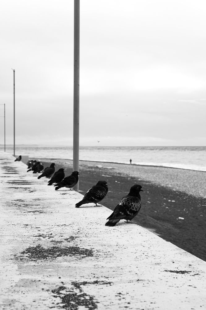 Фотография автора Зуев Алексей