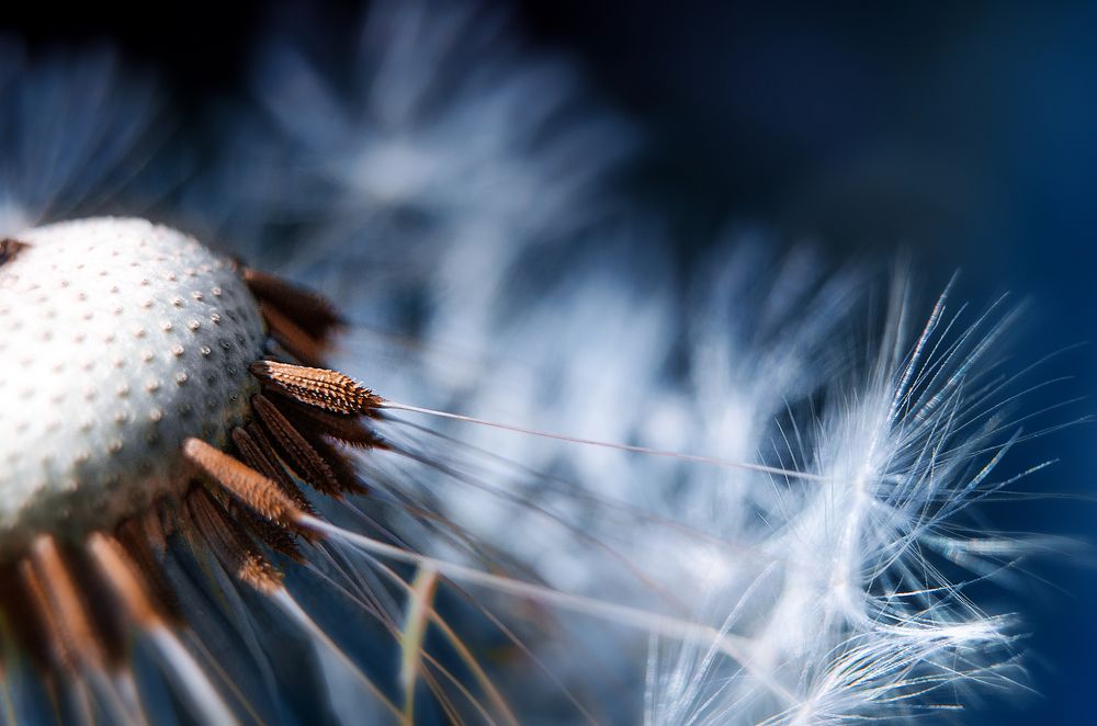 Photograph by Наталья Золотарева