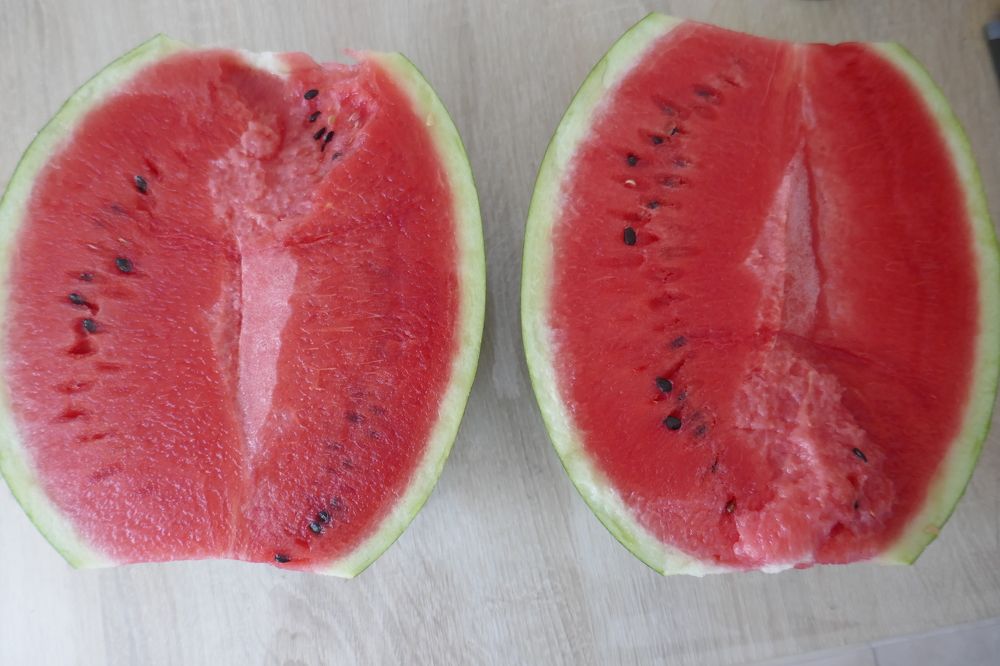 Photograph by Антон