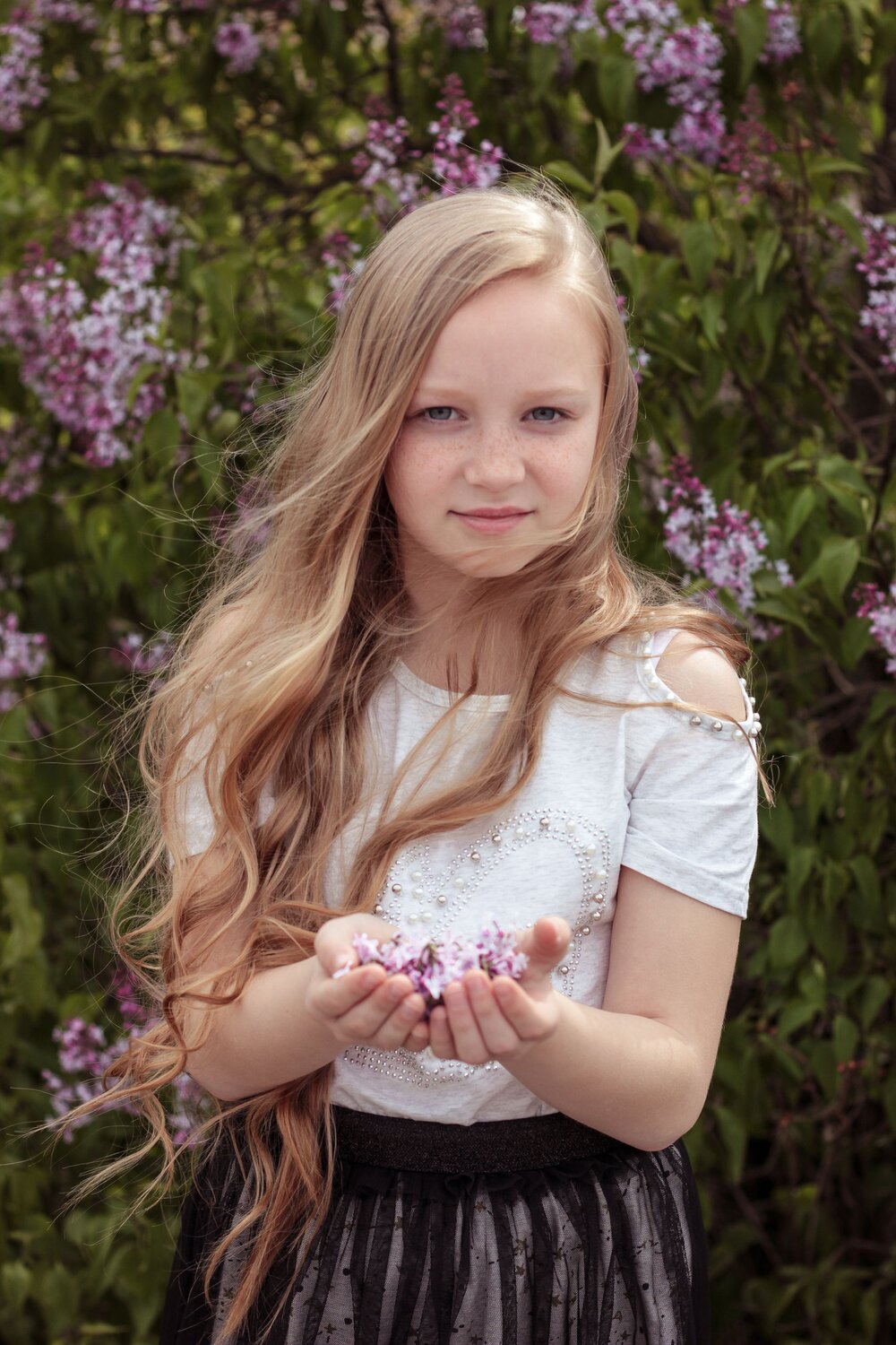 Photo #8237549