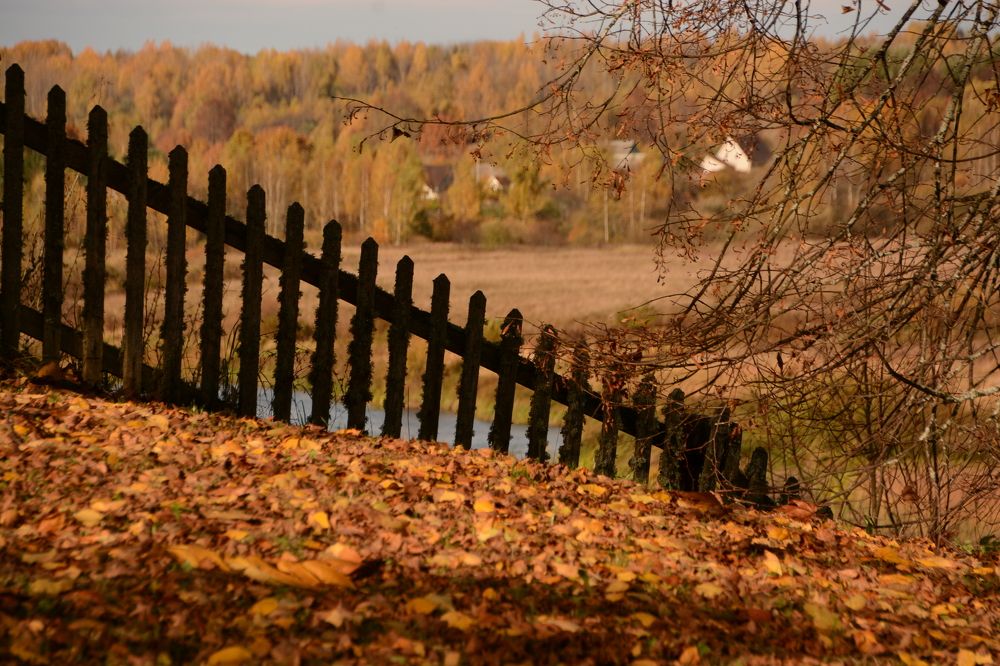 Photograph by Наталья