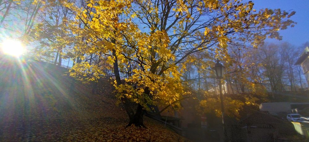 Золотая уходит