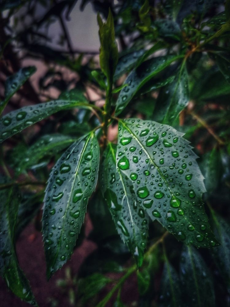 Photograph by Mariana Ștefania Odințoi