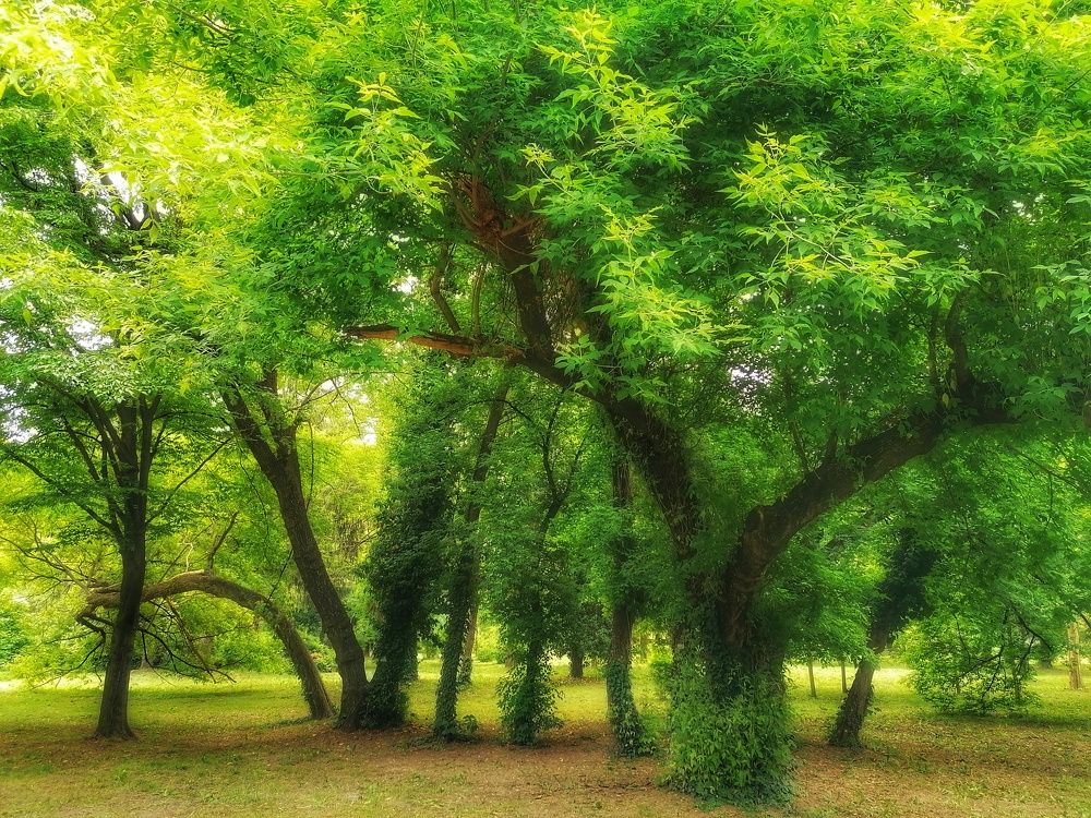 Photograph by Mariana Ștefania Odințoi