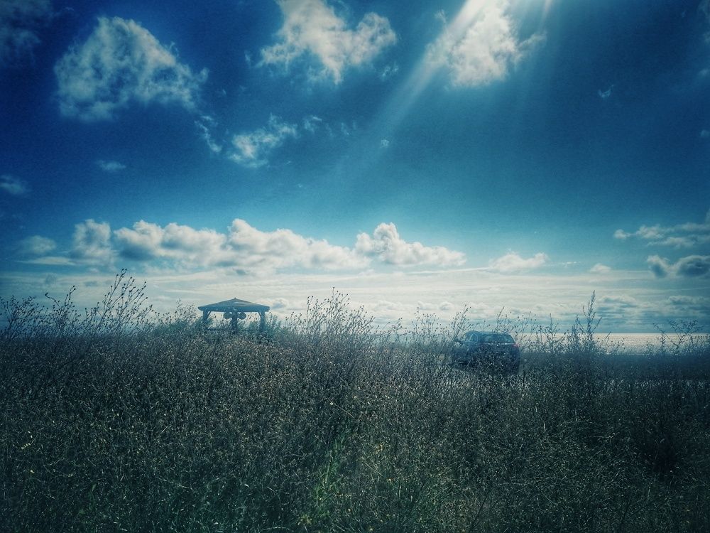 Photograph by Mariana Ștefania Odințoi