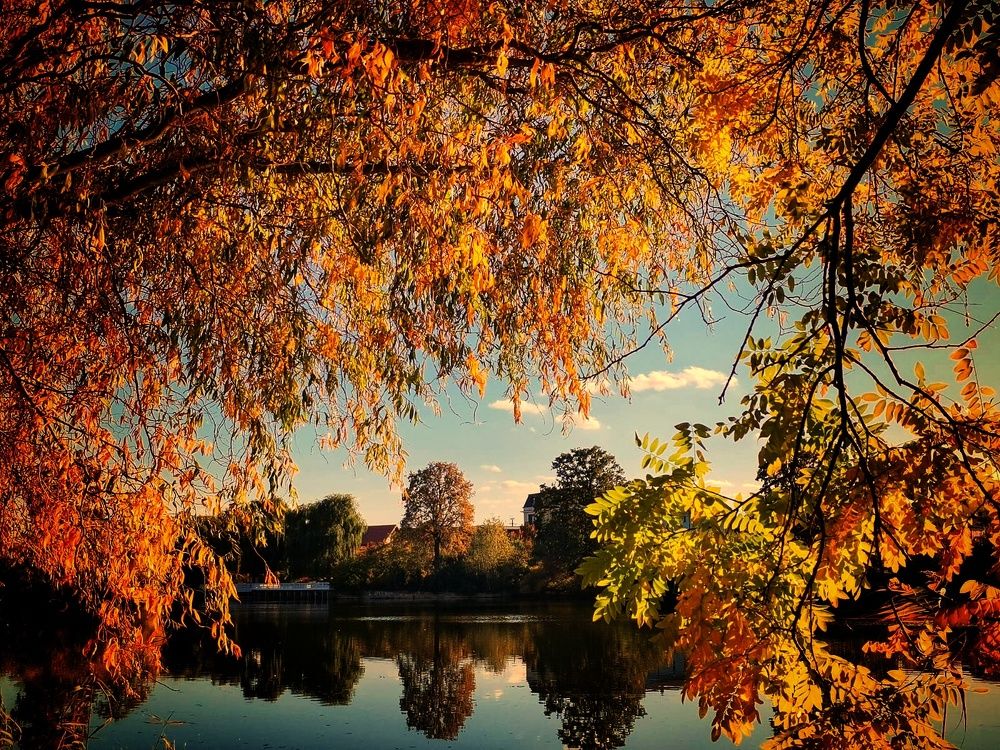 Photograph by Mariana Ștefania Odințoi