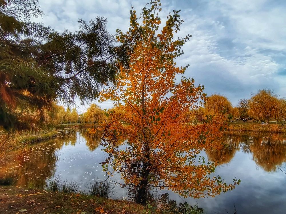 Photograph by Mariana Ștefania Odințoi
