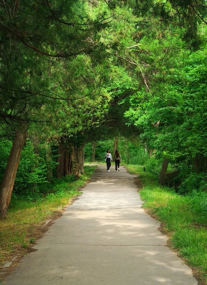 Photograph by Орынбек Асилбаев