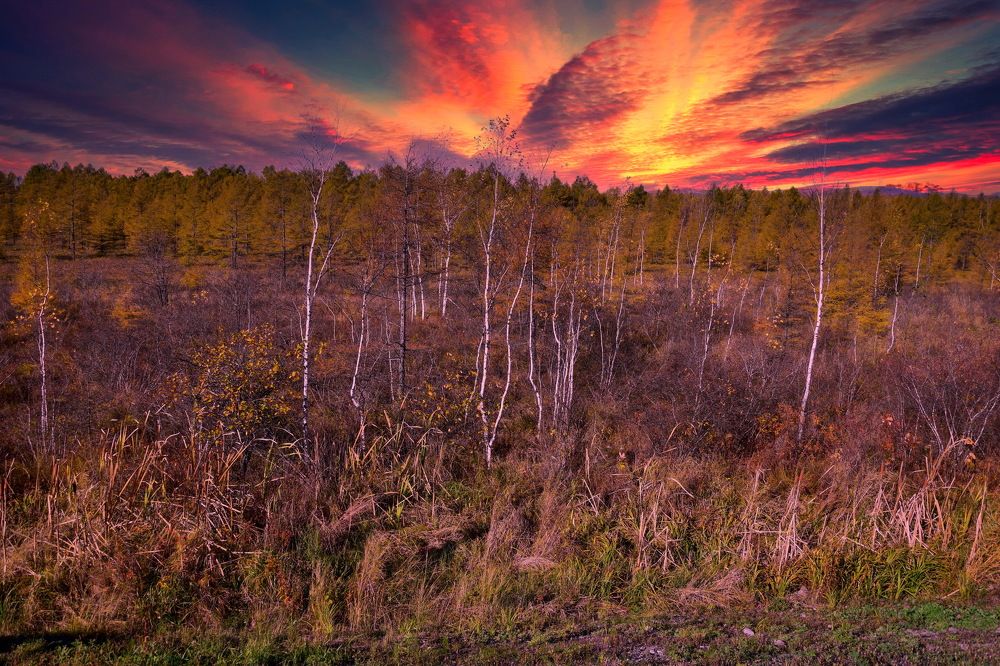 Photograph by Александр Кордюков