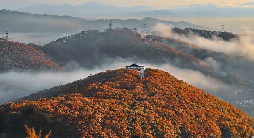 Photograph by Александр Кордюков