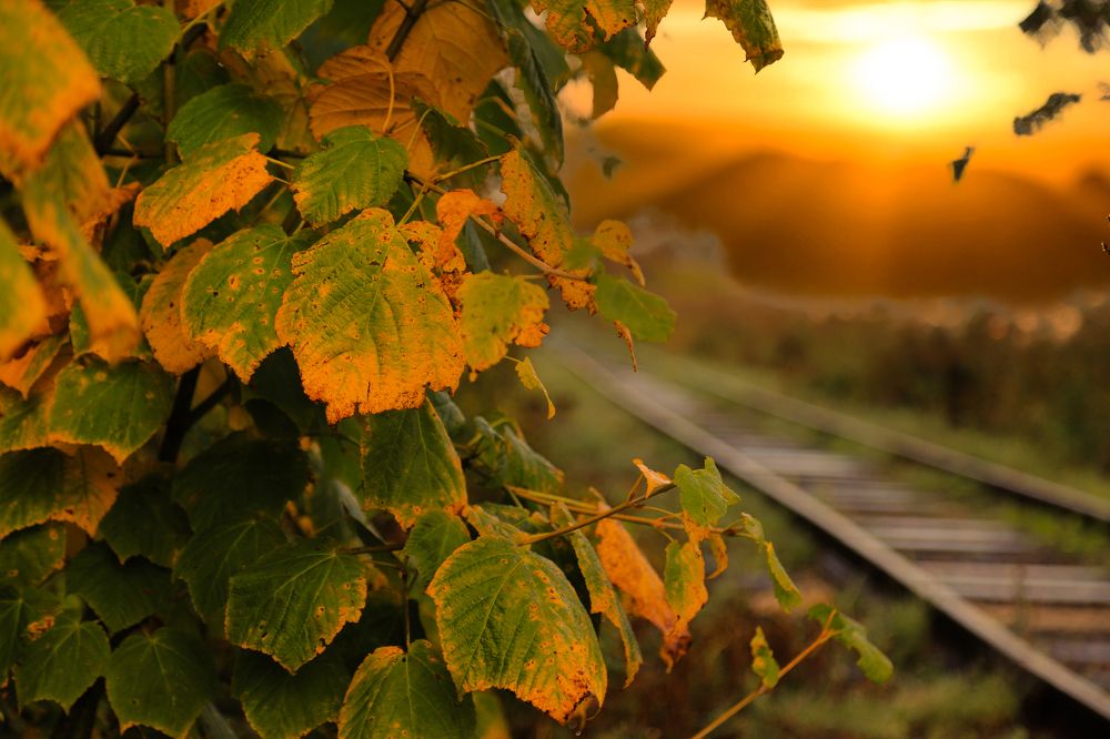 Photograph by Александр Кордюков