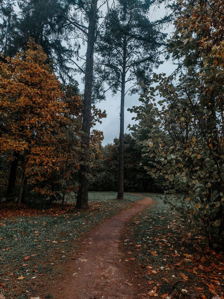 Photograph by Екатерина Мосевич