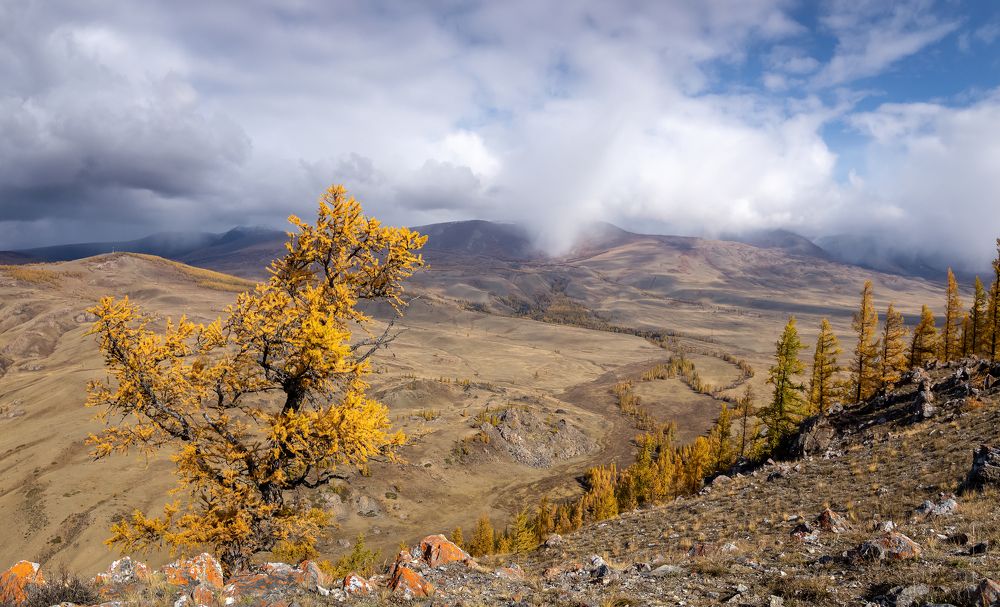 Фотография автора Александр Рудный